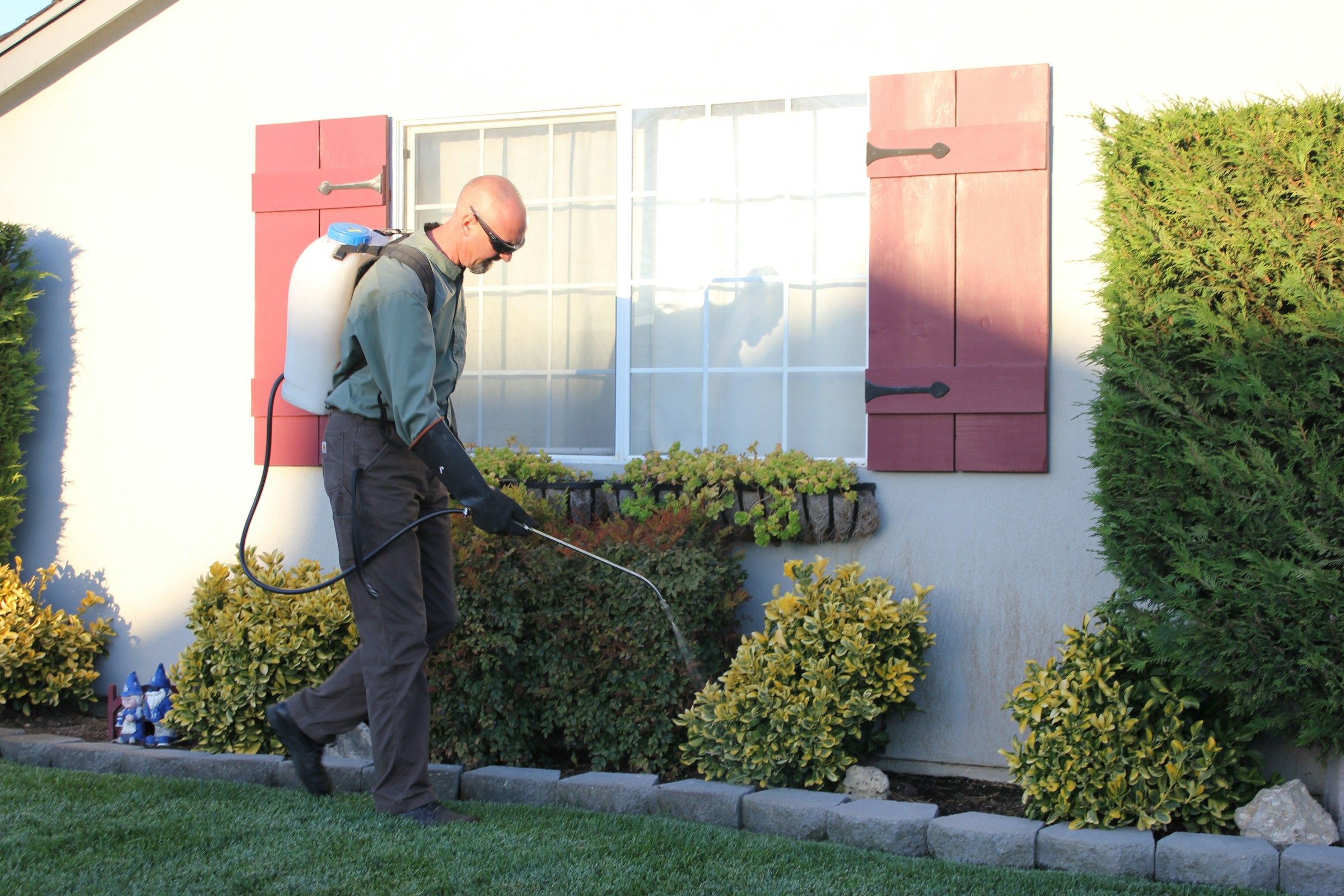 Stock photograph of exterior pest control around a home